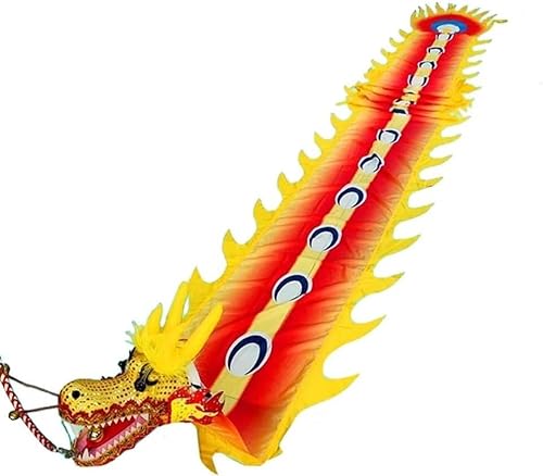 HXR Chinesischer Drachentanz Band 3D Chinesische Tanz-Luftschlangen mit Drachenmuster, Seiden-Drachen-Tanz-Luftschlangen, Festival-Party-Event-Feier-Ausrüstung, 6 m/8 m/10 m/13 m Outdoor Sport Fitnes von Qunine