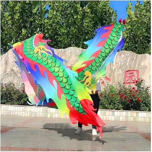 HXR Chinesischer Drachentanz Band 3D Chinesische Tanzschlangen mit Drachenmuster, Outdoor-Fitness for Erwachsene mit schwingenden und drehenden Seidenbändern, Feierausrüstung Outdoor Sport Fitnessger von Qunine