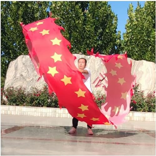 HXR Chinesischer Drachentanz Band 3D Chinesische Tanzschlangen mit Drachenmuster, chinesische Folklore-Aktivität, Drachentanzbänder, Fitnessgeräte for Erwachsene und Kinder im Freien Outdoor Sport Fi von Qunine