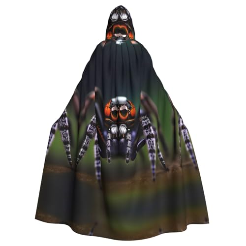 Qwvbn Tropischer Regenwald-Spinnen, mit Kapuze, Halloween, Rollenspiel, Kostüm, Umhang, Umhang, leicht, drapiert Qwvbn Tropischer Regenwald-Spinnen, mit Kapuze, Halloween, Rollenspiel, Kostüm, Umhang, Umhang, leicht, drapiert von Qwvbn
