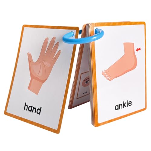 Qyljeiwred Body Parts Lernkarten | Englische Taschenkarte Körperteile Lernkarte | Vokabelpädagogische Wörter Lernkarte Vorschule Lernkarte für Kinder Qyljeiwred Body Parts Lernkarten | Englische Taschenkarte Körperteile Lernkarte | Vokabelpädagogische Wörter Lernkarte Vorschule Lernkarte für Kinder von Qyljeiwred