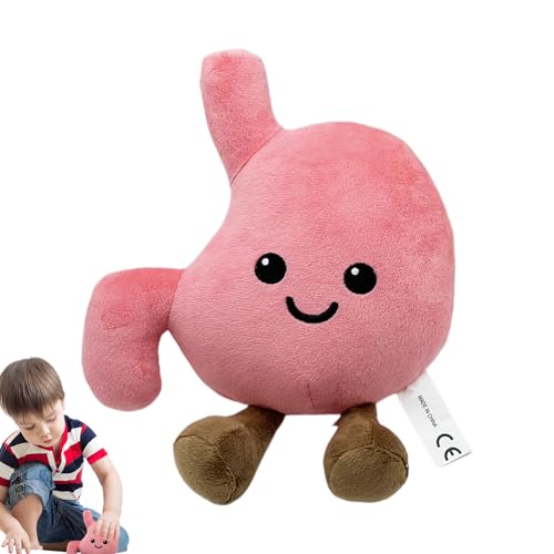 Qzdtue Stomach Plüschtier, niedlich, klein, gefüllt, Cartoon, Organ Plüsch, 24 cm, bezaubernd, dekorativ, für Wohnzimmer, Schlafzimmer, Auto, Sofa, Couch, Geschenk, lange Haltbarkeit Qzdtue Stomach Plüschtier, niedlich, klein, gefüllt, Cartoon, Organ Plüsch, 24 cm, bezaubernd, dekorativ, für Wohnzimmer, Schlafzimmer, Auto, Sofa, Couch, Geschenk, lange Haltbarkeit von Qzdtue