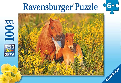 Ravensburger Kinderpuzzle - 13283 Shetlandponys - 100 Teile Puzzle für Kinder ab 6 Jahren von Ravensburger