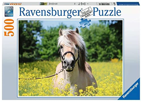 Ravensburger Puzzle 15038 - Pferd im Rapsfeld - 500 Teile Puzzle für Erwachsene und Kinder ab 10 Jahren, Pferde-Puzzle von Ravensburger