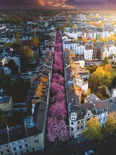 Ravensburger Puzzle - Blühendes Bonn - 1500 Teile Ravensburger Puzzle - Blühendes Bonn - 1500 Teile von Ravensburger