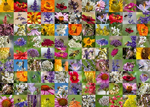 Ravensburger Puzzle 17386 99 Bienen - 1000 Teile Puzzle für Erwachsene und Kinder ab 14 Jahren, Black Ravensburger Puzzle 17386 99 Bienen - 1000 Teile Puzzle für Erwachsene und Kinder ab 14 Jahren, Black von Ravensburger