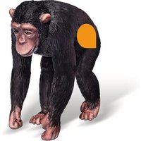 RAVENSBURGER 000364 tiptoi® Schimpanse von RAVENSBURGER TIPTOI