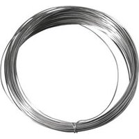 RAYHER 2401900 Silberdraht mit Kupferkern, 0,40 mm ø, 20 m von RAYHER®