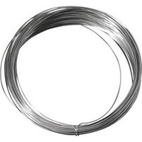 RAYHER 2402100 Silberdraht mit Kupferkern, 0,80 mm ø, SB-Btl. 6 m von RAYHER®