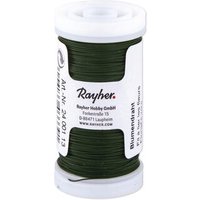 RAYHER 2425213 Blumendraht, d.grün, 0,30 mm ø, Spule 100 m, SB-Btl. 1 Spule von RAYHER®