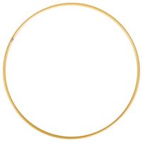 RAYHER 2505206 Metallringe beschichtet, 20cm ø, gold von RAYHER®