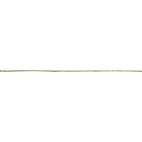 RAYHER 3108406 Wachs-Zierstreifen, gold, 20x0,1cm, SB-Beutel 30Stück von RAYHER®