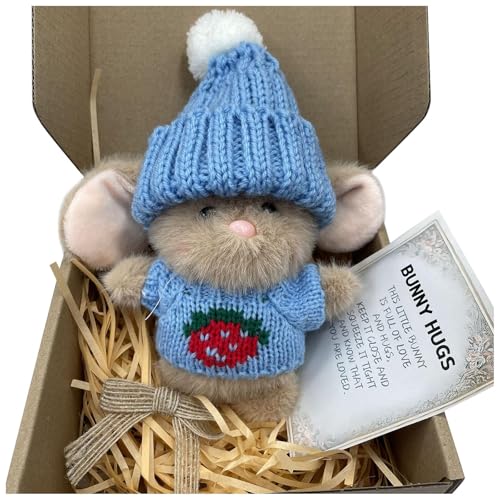 Mini Bunny Hug Cute Easter Gift, Bunny Stuffed Animal Sets, Handmade Plush Pocket Hug Rabbit Doll, Cute Emotional Support Positive Crochet Bunny Gift for Valentine's Day Easter(Blau) von RDCIRP