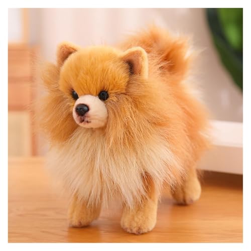 RDCIRP Simulation Pomeranian Plüsch, süßes Kuscheltier, Plüsch-Hundespielzeug, Flauschige Hunde-Plüschpuppe, Geschenke for Jungen und Mädchen for Geburtstag(braun) von RDCIRP