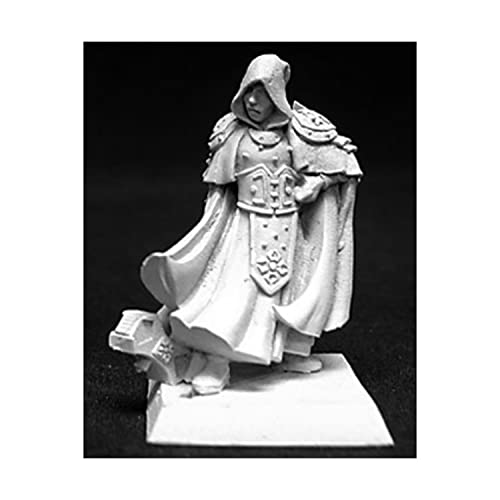 Reaper Miniatures 14050 - Warlord - Sir Broderick - Zinnminiatur von REAPER MINIATURES