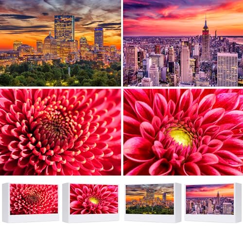 Puzzle für Erwachsene, 1000 Teile und mehr, 4 Stück, Boston Downtown Skyline & New York City Midtown bei Sonnenuntergang Landschaft & rote Dahlie Rose in Frühlingsblüte, Puzzle für Erwachsene von RECHIATO
