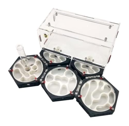 REEKOS Ameisenhaus Ameisenfarm Ameisenburg Ameisenburg Raumstation Hinteres Nest Ameisenfarm Mit Wasserturm Ameisennest Farm Einfach Zu Beobachten Ameisen Kit Ameisennest Ameisen Zucht Box(L) von REEKOS