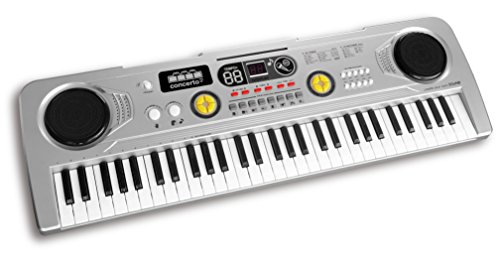 REIG - Elektronischer Organizer 61 Multifunktions-Tasten 76 x 25, Farbe Silber (8923), Modelle von REIG