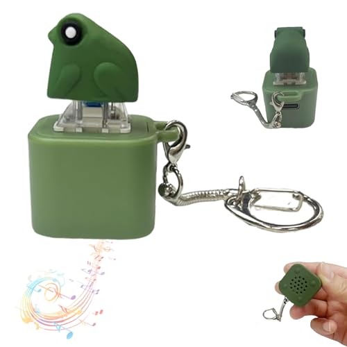 Zappelspielzeug mit quakenden Fröschen, Stressabbau durch quakende Frösche, lustiger wiederaufladbarer Schlüsselanhänger mit bunten Lichtern (Frog 1pcs) von RENQIDD