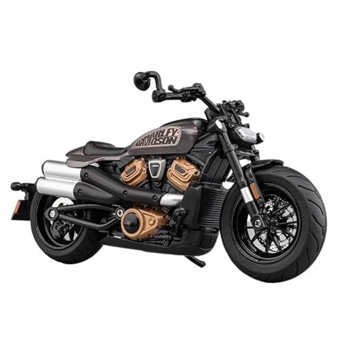 RHUIMEI for 1/12 Sportster S Motorrad Modell Spielzeug Simulation Legierung Auto Modell Junge Figur Sammlung Ornamente Exquisite(Gray) von RHUIMEI