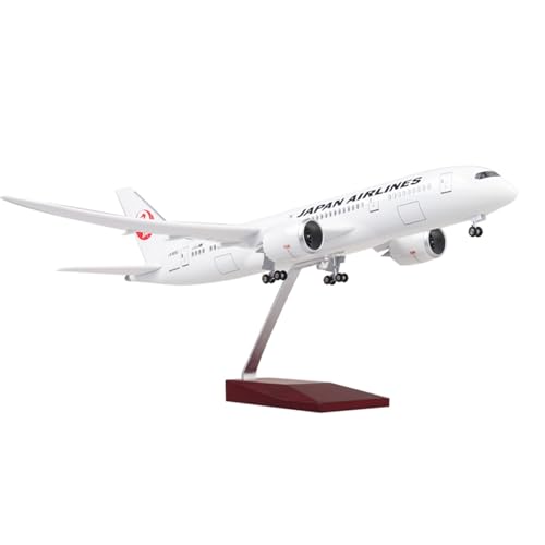 RIVPAHGQ Replika Flugzeugmodelle 43 cm B787 Modellflugzeug Im Maßstab 1:130 Japan Airlines for Boeing 787 Flugzeugmodell Zivilluftfahrt-Frachtflugzeug Vorgefertigte Luftfahrzeug Modelle(NO Light) von RIVPAHGQ