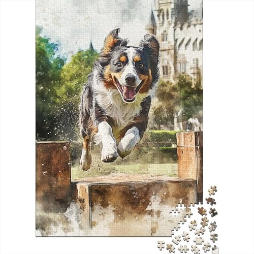 Australian Shepherd Puzzle 1000 Teile Schwer Puzzle Spielzeug Pädagogisches Spiel Impossible Herausforderungsspielzeug Für Erwachsene Kinder 1000pcs (75x50cm) von RJAVAGFZL