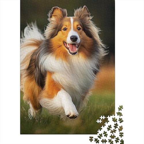 Shetland SchafeHund Puzzle 1000-teilige Schwer Puzzle Spielzeug Lernspiel Impossible Herausforderungsspielzeug Für Erwachsene Kinder 1000pcs (75x50cm) von RJAVAGFZL