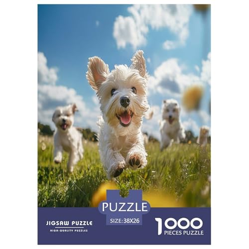 West Highland Weißer Terrier Puzzles 1000 Teile Schwer Puzzle Spielzeug Lernspiel Impossible Herausforderungsspielzeug Für Erwachsene Und Kinder in Bewährter 38x26cm/1000pcs von RJAVAGFZL