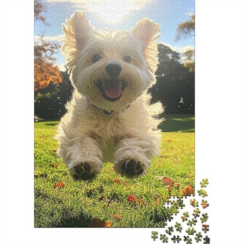 West Highland White Terrier Puzzle 1000-teilige Schwer Puzzle Spielzeug Pädagogisches Spiel Impossible Herausforderungsspielzeug Für Erwachsene Kinder 1000pcs (75x50cm) von RJAVAGFZL