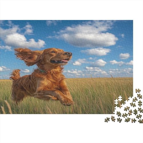 Irischer Setter 1000 Teile Puzzle Für Erwachsene, Hochwertige Recycelbare MateriAußerirdische Und Druck Puzzlespiel, Familienspiel, Geschenk Für Liebhaber Oder Freunde Puzzel 1000pcs (75x50cm) von RJLZWKPTF