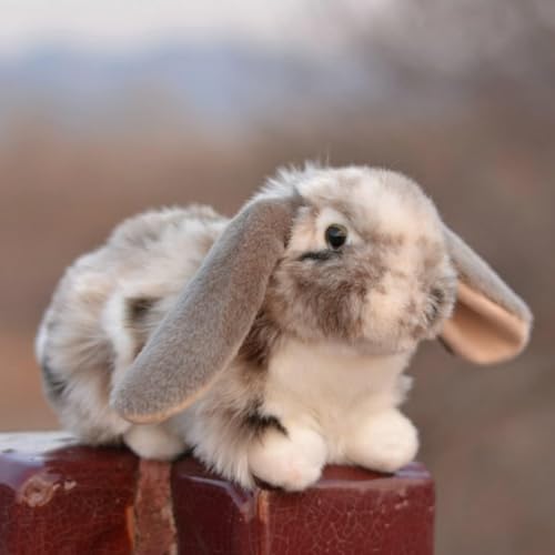 RLOMUTE 10Zoll Kleiner Hamster Plüschtier realistisches Hamster Stofftier weiches kuscheliges für Gastgeschenke Begleiter Schlafzimmer Auto Heimdekoration Sammlergeschenk für Kinder grau von RLOMUTE