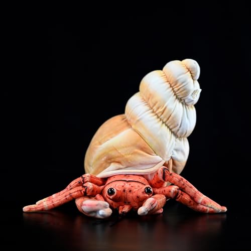 RLOMUTE 11.8 Zoll braun Einsiedlerkrebs Plüschtier Meerestiere realistisches Tierspielzeugkissen kuscheliges Begleiter Schlafzimmer Heimdekoration Sammlergeschenk für Kinder Jungen Mädchen RLOMUTE 11.8 Zoll braun Einsiedlerkrebs Plüschtier Meerestiere realistisches Tierspielzeugkissen kuscheliges Begleiter Schlafzimmer Heimdekoration Sammlergeschenk für Kinder Jungen Mädchen von RLOMUTE