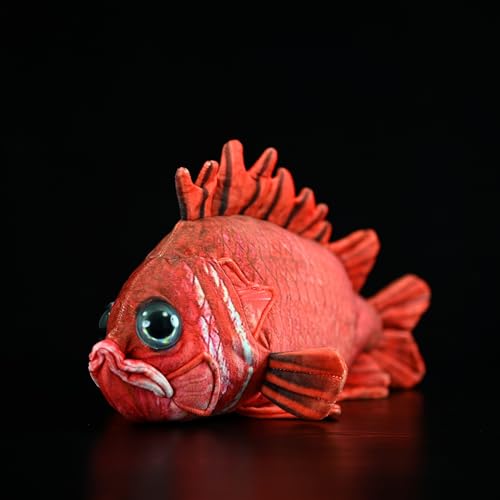 RLOMUTE 15 Zoll Rote Ebisu-Seebrasse Plüschtier Fisch Tiger Schnapper Meerestiere Tierspielzeugkissen kuscheliges Schlafzimmer Heimdekoration Sammlergeschenk für Kinder Jungen Mädchen RLOMUTE 15 Zoll Rote Ebisu-Seebrasse Plüschtier Fisch Tiger Schnapper Meerestiere Tierspielzeugkissen kuscheliges Schlafzimmer Heimdekoration Sammlergeschenk für Kinder Jungen Mädchen von RLOMUTE