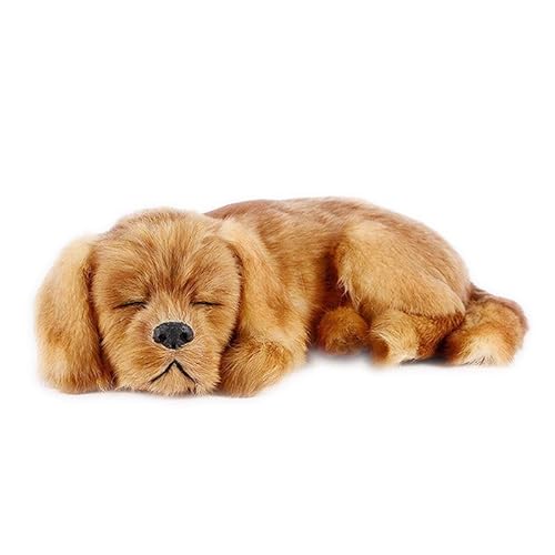 RLOMUTE Hund Kuscheliges Spielzeug Golden Retriever Plüschtier Realistisches Harzornamente Stofftier Weiches für Gastgeschenke Heimdekoration Sammlergeschenk für Kinder Jungen Mädchen 14zoll RLOMUTE Hund Kuscheliges Spielzeug Golden Retriever Plüschtier Realistisches Harzornamente Stofftier Weiches für Gastgeschenke Heimdekoration Sammlergeschenk für Kinder Jungen Mädchen 14zoll von RLOMUTE