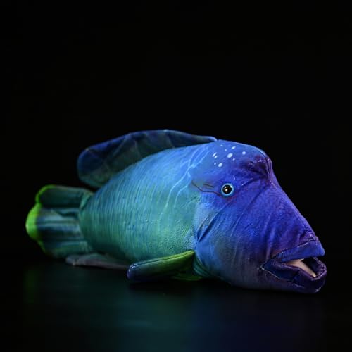 RLOMUTE Wellenlippenfisch Plüschtier Realistisches Stofftier Weiches Spielzeug Buckelkopf-Lippfisch Kuscheliges für Gastgeschenke Heimdekoration Sammlergeschenk für Kinder Jungen 21.6 Zoll Blau von RLOMUTE
