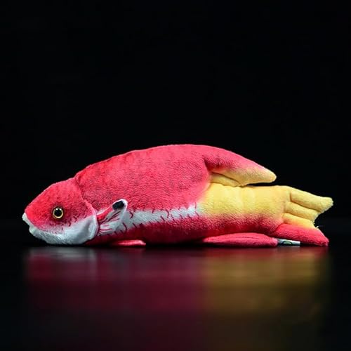 RLOMUTE Wunderschöner Bodhi-Fisch Plüschtier Realistisches Stofftier Weiches Spielzeug Fisch Kuscheliges für Gastgeschenke Heimdekoration Sammlergeschenk für Kinder Jungen Mädchen 9.8 Zoll Rot von RLOMUTE