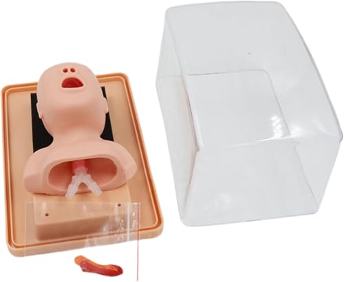 Fortgeschrittene Intubationspuppe for Neugeborene, PVC-Trainingsmodell for die Trachealintubation von Säuglingen - Trainer for Erste-Hilfe-Atemwegsmanagement durch orale nasale Intubation - Lehrmittel von RMJEZTQD