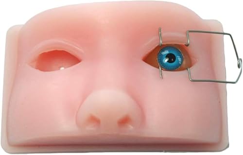 Trainingsmodell zur Simulation eines Tierauges, ophthalmisches Modell eines menschlichen Kopfes, Operationssimulator for Ultraschall-Emulsifikationsmikroskopie, medizinisches Augensimulationsmodell fo von RMJEZTQD