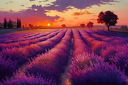 500 Teile RMSGOZO Lavendelfeld-Puzzles für Erwachsene - Herbst-Sonnenuntergang - Landschaftspuzzles, Familien-Eltern-Kind-Interaktion & Geschenke 500 Teile RMSGOZO Lavendelfeld-Puzzles für Erwachsene - Herbst-Sonnenuntergang - Landschaftspuzzles, Familien-Eltern-Kind-Interaktion & Geschenke von RMSGOZO