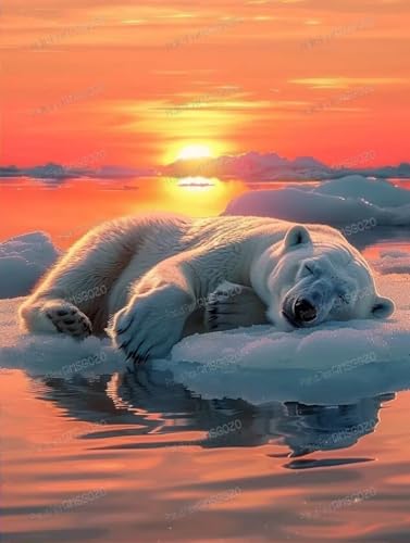 Holz-Puzzle, schlafender Eisbär, 1000 Teile, 1000 Teile, 50,8 x 76,2 cm, lustige Indoor-Aktivität, Geschenkposter, Geduldsteigerung, Stressabbau-Geschenke Holz-Puzzle, schlafender Eisbär, 1000 Teile, 1000 Teile, 50,8 x 76,2 cm, lustige Indoor-Aktivität, Geschenkposter, Geduldsteigerung, Stressabbau-Geschenke von RMSGOZO