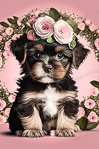 Pink Rose Puppy Puzzles – HD Tier 70 Teile Puzzle für Erwachsene Anfänger – Brainstorming-Spiel für Teenager – tolle Geschenke für Familie, entspannendes Gehirn 15,2 x 20,3 cm Pink Rose Puppy Puzzles – HD Tier 70 Teile Puzzle für Erwachsene Anfänger – Brainstorming-Spiel für Teenager – tolle Geschenke für Familie, entspannendes Gehirn 15,2 x 20,3 cm von RMSGOZO