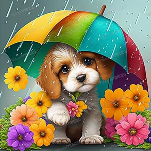Puzzle mit 1000 Teilen – Regenwelpe – lustiges Familien-Puzzle, 1000-teiliges Puzzle, 50,8 x 76,2 cm, recycelbare Holz-Puzzleteile, Lieblings-Freizeitaktivität oder Geschenke Puzzle mit 1000 Teilen – Regenwelpe – lustiges Familien-Puzzle, 1000-teiliges Puzzle, 50,8 x 76,2 cm, recycelbare Holz-Puzzleteile, Lieblings-Freizeitaktivität oder Geschenke von RMSGOZO