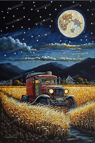 Starry Rice Field 1000 Teile Puzzles für Erwachsene – Herbstlandschaft 1000 Teile Puzzle – Entspannen Sie sich vom Alltag, für Familien-Eltern-Kind-Aktivitäten, Spielzeug, 50,8 x 76,2 cm von RMSGOZO