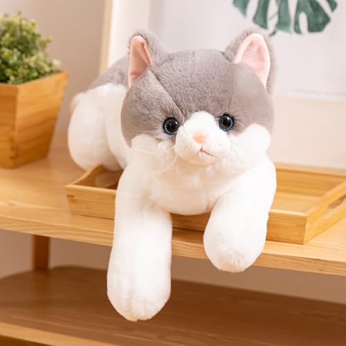 ROADDPMATE Realistisches Katzen-Puscheltier für Kinder und Mädchen, weiches Kuscheltier-Kätzchen für Geburtstagsfeiern (50cm,Grau) von ROADDPMATE