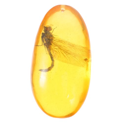 ROMISBABA Sorgfältig Gefertigtes Bernstein-insektenexemplar Dekoratives Harzsteinornament Für Die Sammlung ROMISBABA Sorgfältig Gefertigtes Bernstein-insektenexemplar Dekoratives Harzsteinornament Für Die Sammlung von ROMISBABA