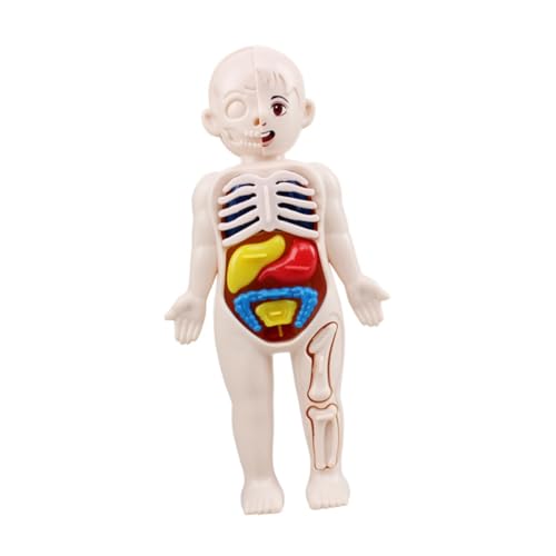 ROMISBABA Lernspielzeug Human Organe Puzzle Teiliges Modell Körperbauteile Pädagogisches DIY Set für Vorschule und Frühe Bildung ROMISBABA Lernspielzeug Human Organe Puzzle Teiliges Modell Körperbauteile Pädagogisches DIY Set für Vorschule und Frühe Bildung von ROMISBABA