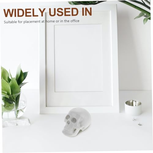 ROMISBABA Miniatur Schädelmodell aus Robustem PVC Anatomisches Kopfmodell für Medizinstudenten und Künstler Detailgetreue Nachbildung für Halloween Dekoration und Unterricht Handliches ROMISBABA Miniatur Schädelmodell aus Robustem PVC Anatomisches Kopfmodell für Medizinstudenten und Künstler Detailgetreue Nachbildung für Halloween Dekoration und Unterricht Handliches von ROMISBABA