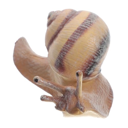 ROMISBABA Realistische Schneckenfigur aus Langlebigem Detailgetreue Simulation als Lernspielzeug und Gartendekoration Kindgerecht und Vielseitig Einsetzbar von ROMISBABA