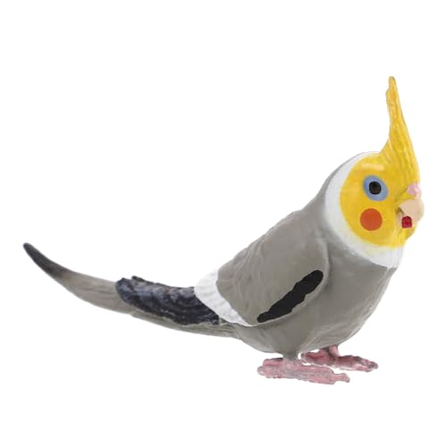 ROMISBABA Realistisches Cockatiel Papagei Modell aus Robustem Material Detailgetreue Vogelornament Figur für Garten und Terrarium Wetterfeste Deko für Innen und Außen Naturgetreue von ROMISBABA