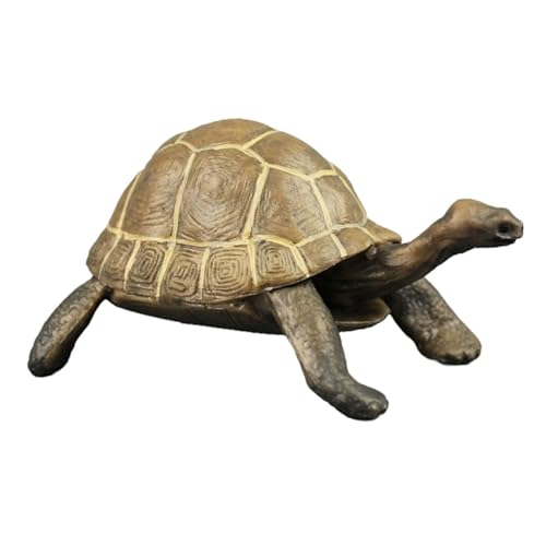 ROMISBABA Realistisches Schildkrötenmodell aus Hochwertigem PVC Farbenfrohe Tierfigur für Kinderzimmer Dekoration Kognitives Lernspielzeug und Landschaftsornament Glatte Oberfläche ROMISBABA Realistisches Schildkrötenmodell aus Hochwertigem PVC Farbenfrohe Tierfigur für Kinderzimmer Dekoration Kognitives Lernspielzeug und Landschaftsornament Glatte Oberfläche von ROMISBABA